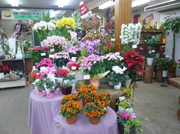 「カヨモ」　（大阪府岸和田市）の花屋店舗写真3