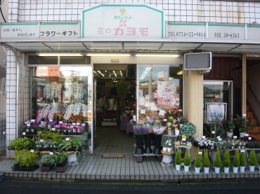 「カヨモ」　（大阪府岸和田市）の花屋店舗写真1