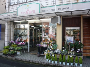 「カヨモ」　（大阪府岸和田市）の花屋店舗写真2
